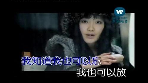 欧美歌曲忧伤老歌视频,欧美经典老歌视频回顾