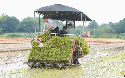 欧美农机种田视频,高效农业的现代化实践