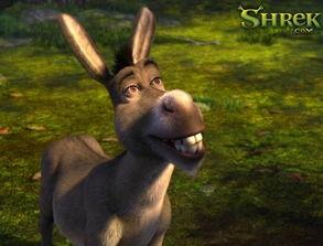 欧美驴人交配小说视频,揭秘隐秘欲望的黑暗面