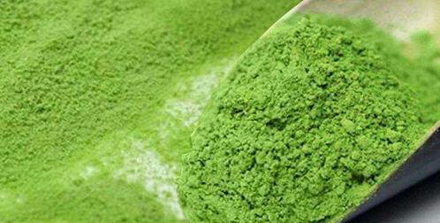 抹茶福利欧美视频导航,一网打尽全球抹茶爱好者天堂