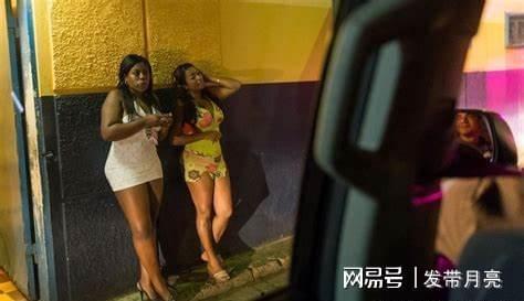 欧美大屁股肥胖妓女视频,揭秘隐秘生活面纱