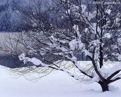 冬天的雪景视频欧美大片,冬日雪景的欧美大片魅力