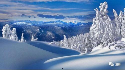 冬天的雪景视频欧美大片,冬日雪景的欧美大片魅力