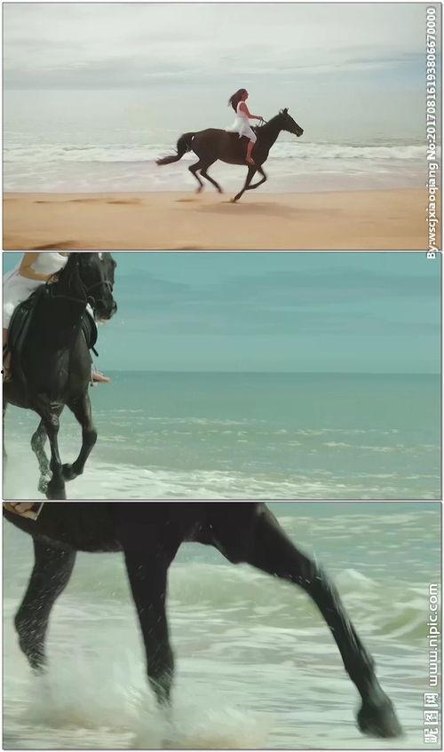 女生骑马欧美视频