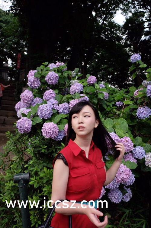 欧美韩国视频第一二三区,跨越国界，共享视听盛宴