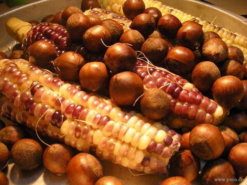 欧美零食制作视频,跟随视频学做美味佳肴