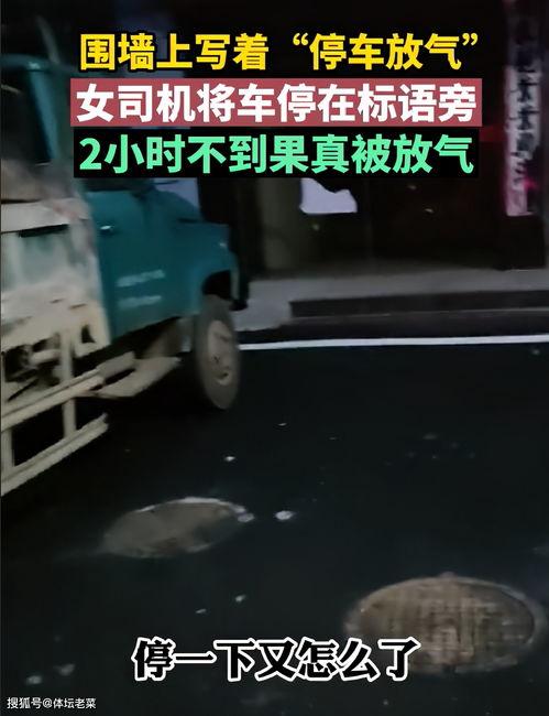 欧美除草车视频,革新农业机械化新篇章