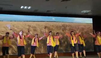 欧美丰收歌舞蹈视频,欢快节奏下的田园狂欢